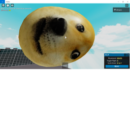 NEW DOGE HIDEOUT!!11!!!!1 UPDATE #5