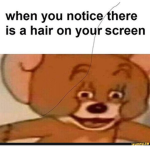Mr. REee
