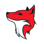 🦊 Foxy Studios 🦊