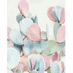 The Cactus Family