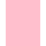 さらにゃとしろくましゃんぐるーぷ