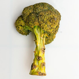 Eww! Veggies 🤢