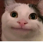 Cat__gang xD