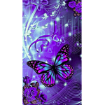 Butterfly queen group