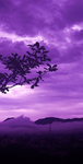 Aesthetic Purple Fan Group!