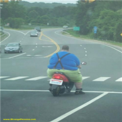 Funny Fat Guy on a Moped Roblox decal
