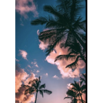 aesthetic vsco squad