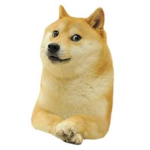 Doge Children