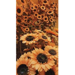 Jessy's Garden!