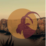 Air Cyprus - Official Group