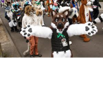 Team Furry