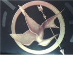 Hunger Games Battle Fest
