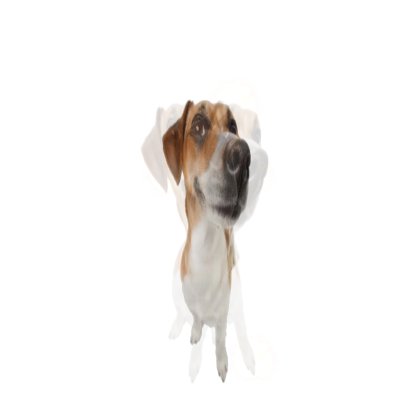 WHAT THE DOG DOING? (SATYR44)