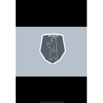 -Big Bear Academy-