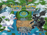 The Poke Club