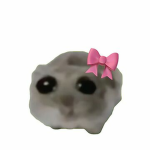 max’s UGC
