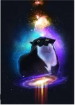 maxwell the cat people