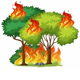 Escape The Burning Forest