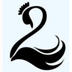 The Black Swans