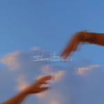 Sʜɪʙᴜɪ