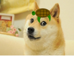 doge turtle