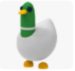 Silly Duck Studio
