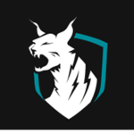 The Lynx Squad