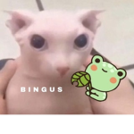 Bingus worshippers