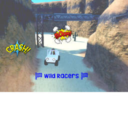 🚗 Wild Racers