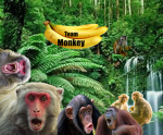 The Great Tribe Of Thy Monkeys (and bananas)