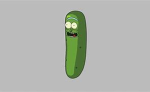pickle rick inc