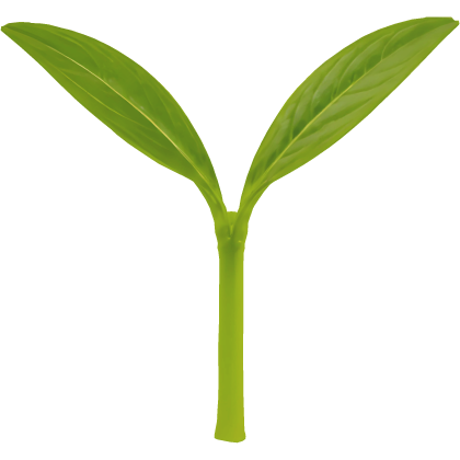 leafy sprout Roblox item