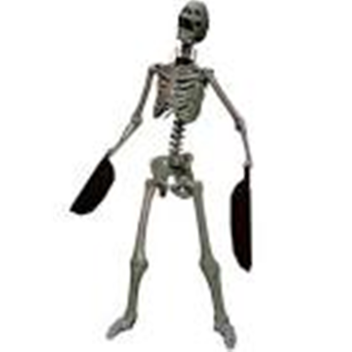 One night in Venezuela (JOKE)