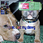 i jus laws my dawgg :(