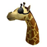 The giraffes12