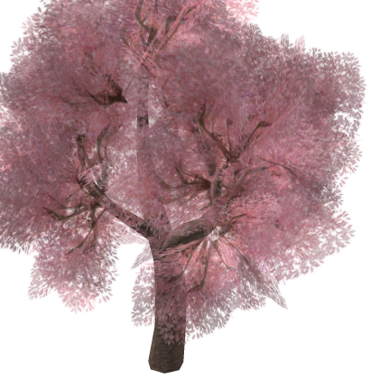 [Best!] Sakura Tree Spring Japanese Cherry Blossom