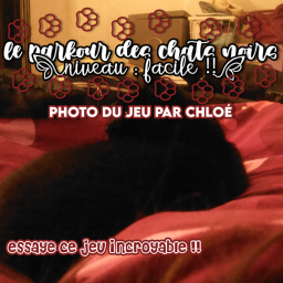 -Le parkour des chats noirs !-