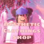 Aesthetic Clothings Shop