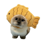 chomik²