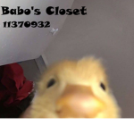 Babo’s Closet