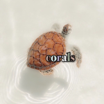 - corals -