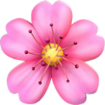 ~ Blossom Advertising ~