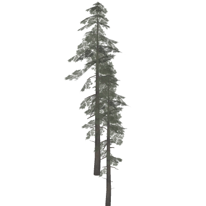 [✨⭐] Realistic Trees Pack Pine Forest