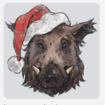boar group