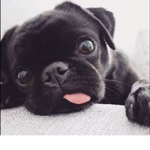 Ellie_Playz
