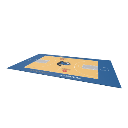 Vancouver Whales Basketball Court