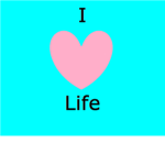 Lovers of Everything