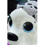 Polar Man