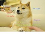 Doge appreciation society yeet have fun