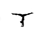 PSGA Role Play Gymnastics Team